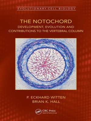 cover image of The Notochord